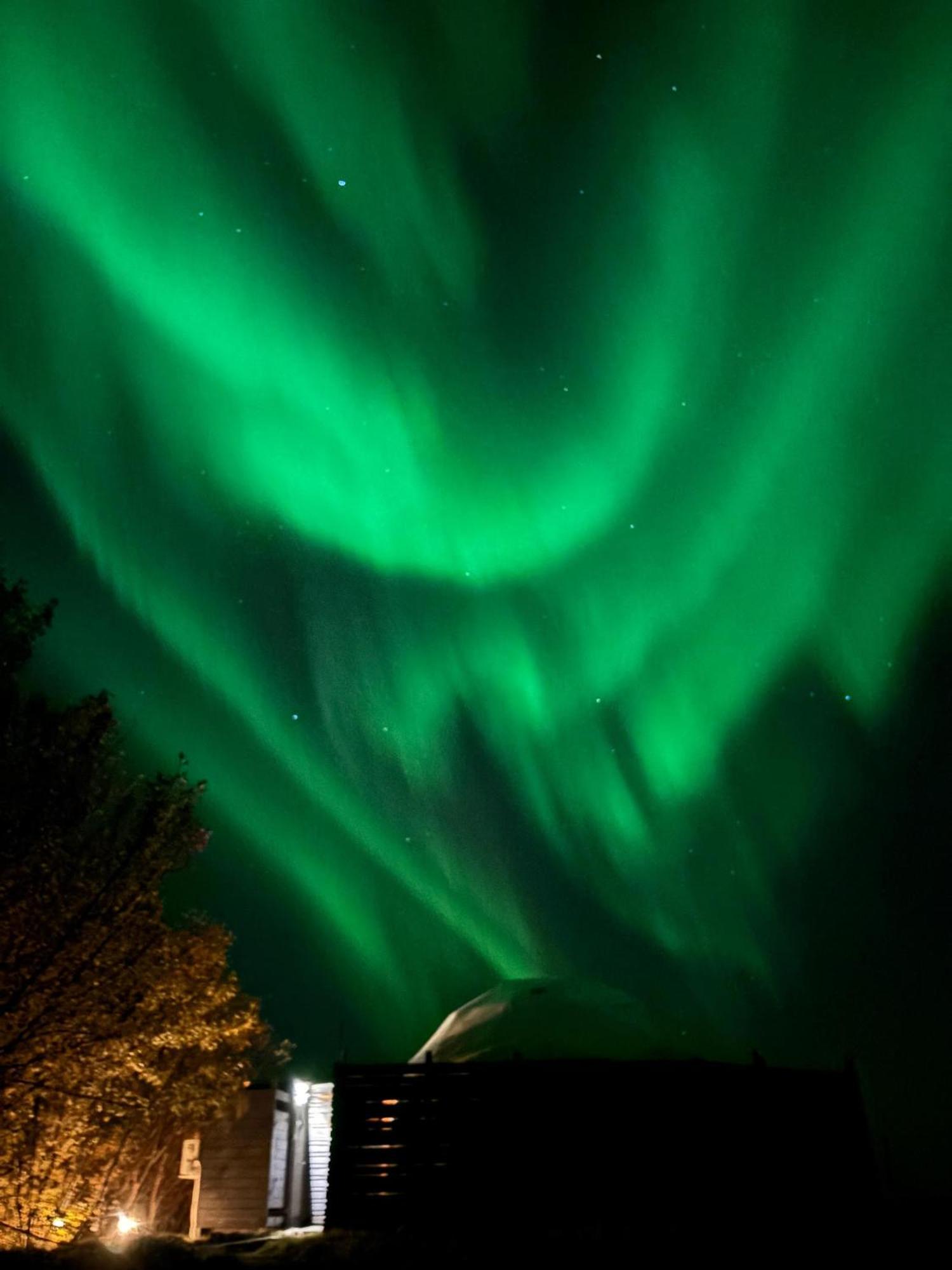 Aurora Dome - South Coast Iceland